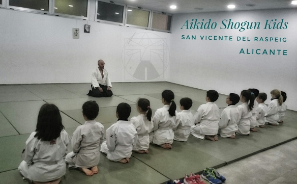 Aikido Shogun Kids San Vicente del Raspeig Alicante 
