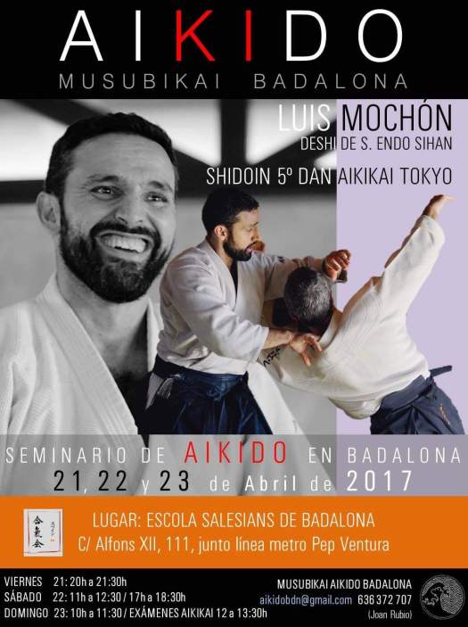 Aikido Shogun Luis Mochon 